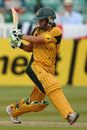Shelley Nitschke in action during her fifty, Australia v West Indies, ICC Women's World Twenty20, Taunton, June 14, 2009 