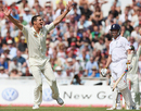Mitchell Johnson is ecstatic after getting rid of Graeme Swann, England v Australia, 4th Test, Headingley, 3rd day, August 9, 2009