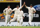  Ben Hilfenhaus celebrates the wicket of Chris Gayle , Australia v West Indies, 1st Test, Brisbane, 3rd day, November 28, 2009
