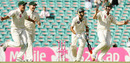 The Australian team celebrates Umar Gul's dismissal which sealed the victory, Australia v Pakistan, 2nd Test, Sydney, 4th day, January 6, 2010