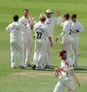 Andre Nel is congratulated by his Surrey team-mates after removing Stephen Peters, Surrey v Northamptonshire, County Championship Division Two, The Oval, July 21, 2010