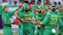 Dale Steyn is congratulated by his team-mates after removing Umar Akmal, Pakistan v South Africa, 5th ODI, Dubai, November 8, 2010