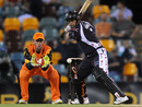 Brad Hodge winds up during his innings of 84, ACA All-Stars v Aussie Fans' XI, Brisbane, November 21, 2010
