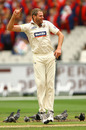 Chris Swan celebrates a wicket, Victoria v Queensland, Sheffield Shield, Melbourne, 1st day, November 27, 2010