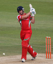 Tom Maynard guided Glamorgan's successful chase with an unbeaten 78, Surrey v Glamorgan, Friends Provident t20, The Oval, July 4, 2010
