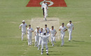 James Anderson dismisses Brad Haddin at Adelaide, winner, Wisden & MCC Cricket Photograph of the Year 2010, in association with Park Cameras