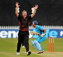Matthew Hoggard celebrates a wicket against Derbyshire, Derbyshire v Leicestershire, Friends Life t20, Derby, June 18 2011