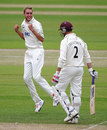 Stuart Broad claimed the big wicket of Marcus Trescothick, Nottinghamshire v Somerset, County Championship, Division One, Trent Bridge, July 13, 2011