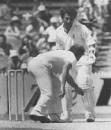 Dennis Lillee clashes with Sunil Gavaskar, Australia v India, 3rd Test, MCG, February 1981