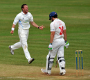 Tony Palladino celebrates a wicket against Glamorgan, Derbyshire v Glamorgan, Derby, 4th day, July 14 2011