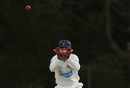 Brad Haddin takes a return from the field, NSW v Tasmania, Sheffield Shield, Bankstown, day four, September 29, 2012