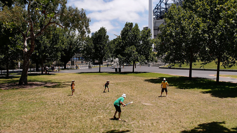 Fans play cricket in Yarra Park outside the MCG Fans play cricket in Yarra Park outside the MCG