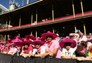 Khawaja in the pink