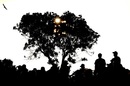 The setting sun provides a picturesque silhouette of the crowd at the Bay Oval, New Zealand v Sri Lanka, 2nd ODI, Mount Maunganui The setting sun provides a picturesque silhouette of the crowd at the Bay Oval, New Zealand v Sri Lanka, 2nd ODI, Mount Maunganui