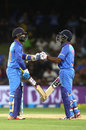 Dinesh Karthik (left) and Ambati Rayudu bump fists during their partnership, New Zealand v India, 2nd ODI, Mount Maunganui, January 28, 2019