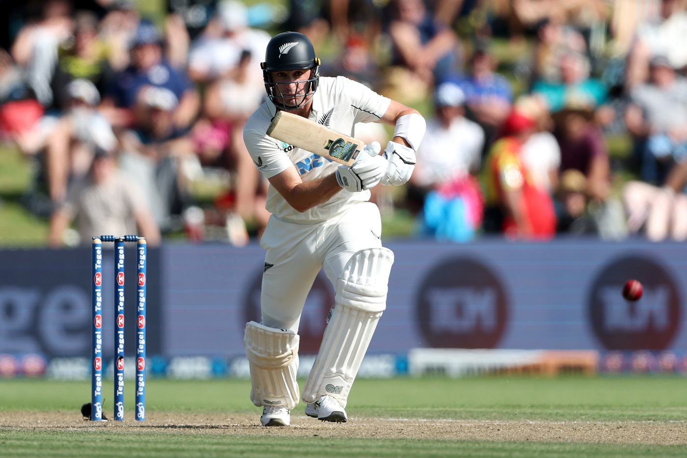 New Zealand Selects Young as Williamson's Test Replacement