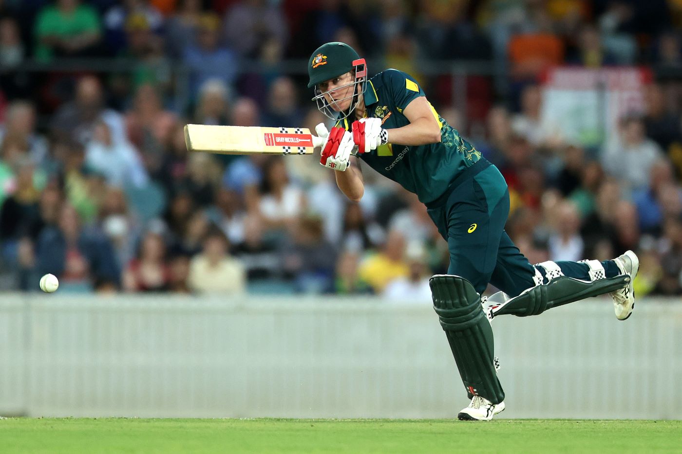 Australia bowl, McGrath replaces injured Litchfield