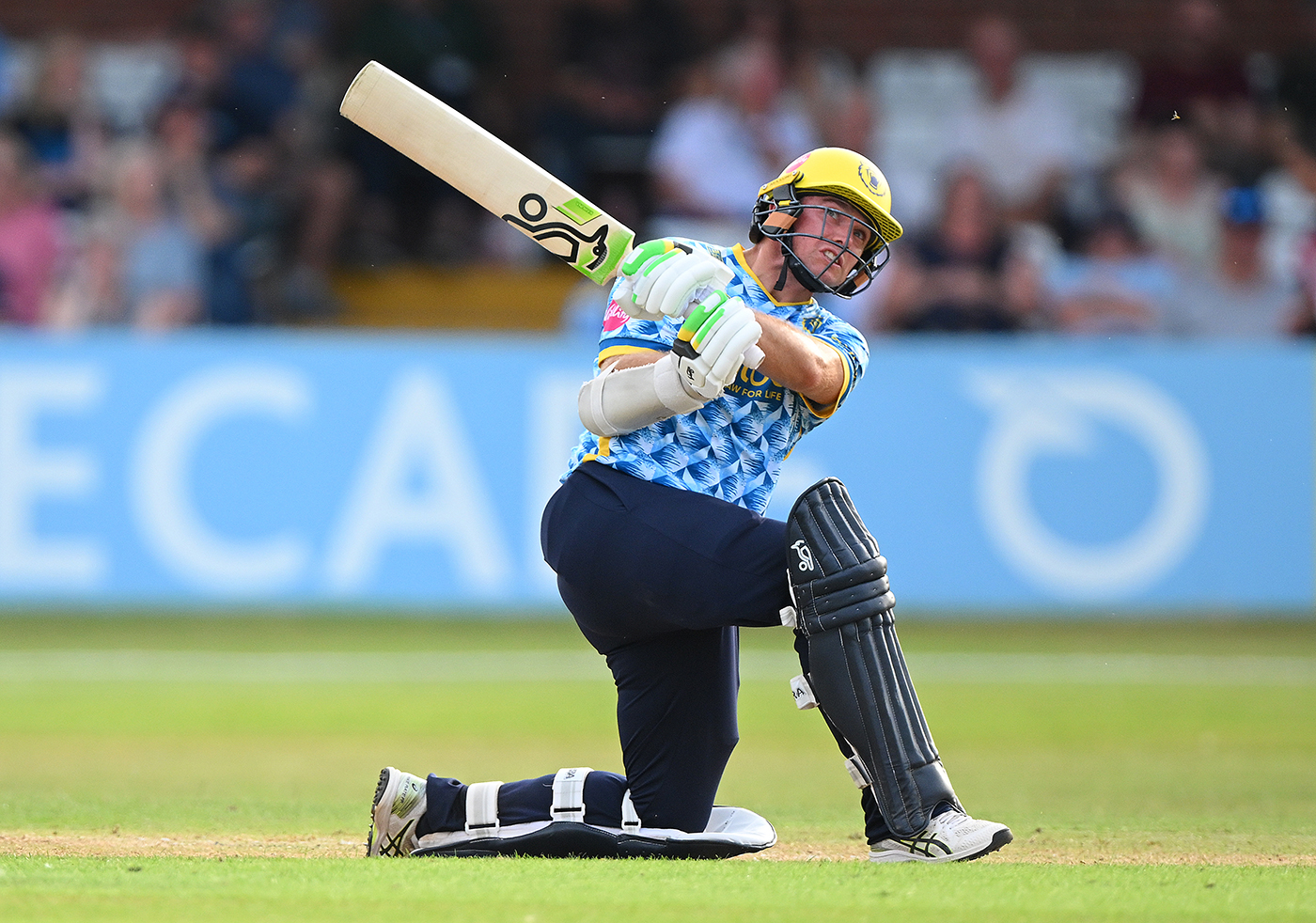 Latham hundred leads Bears mauling of Derbyshire