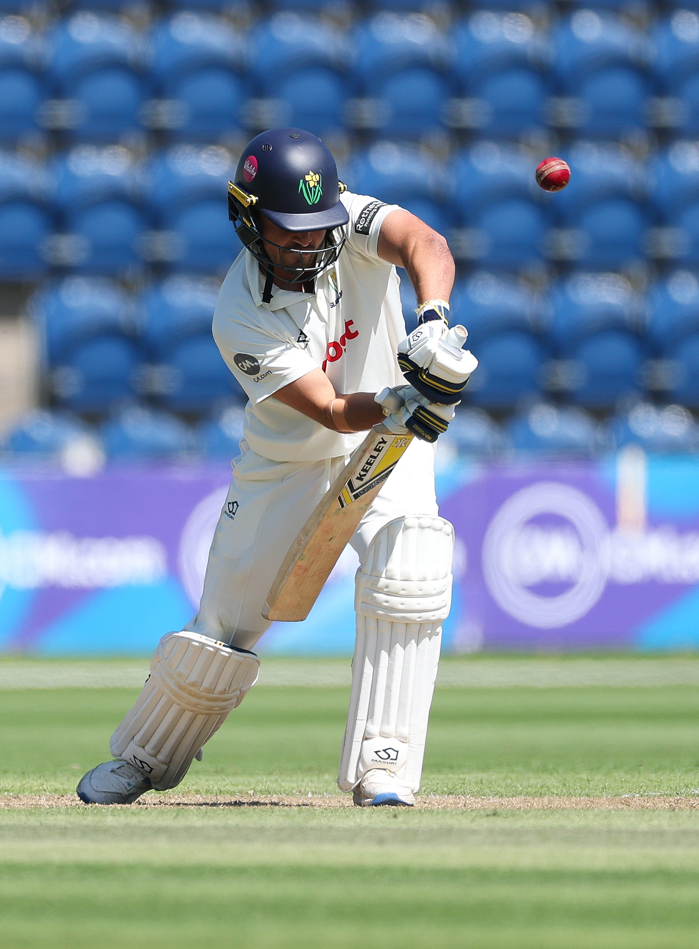 Carlson the rock as Glamorgan solidify promotion challenge