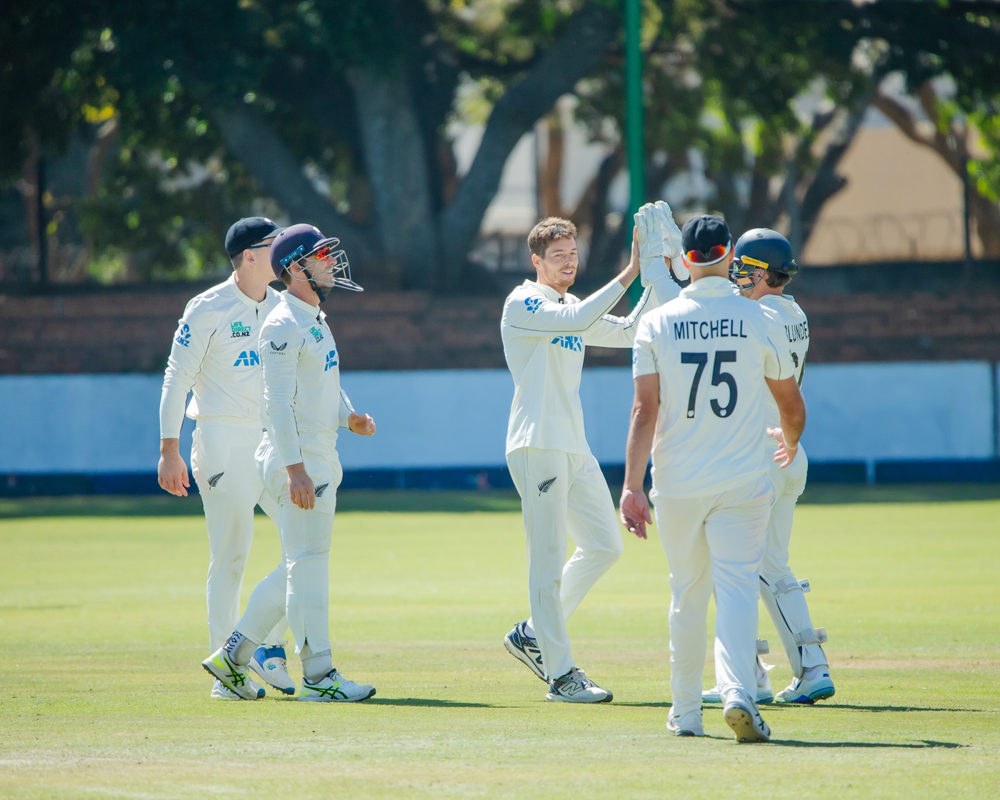 Zimbabwe search for Test revival amid New Zealand dominance