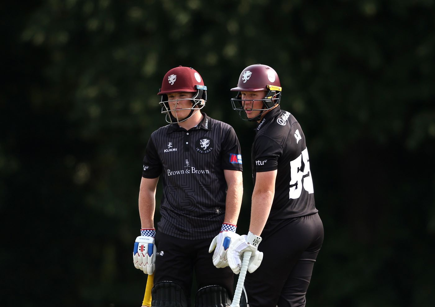 Rew brothers steer Somerset to victory with century stand