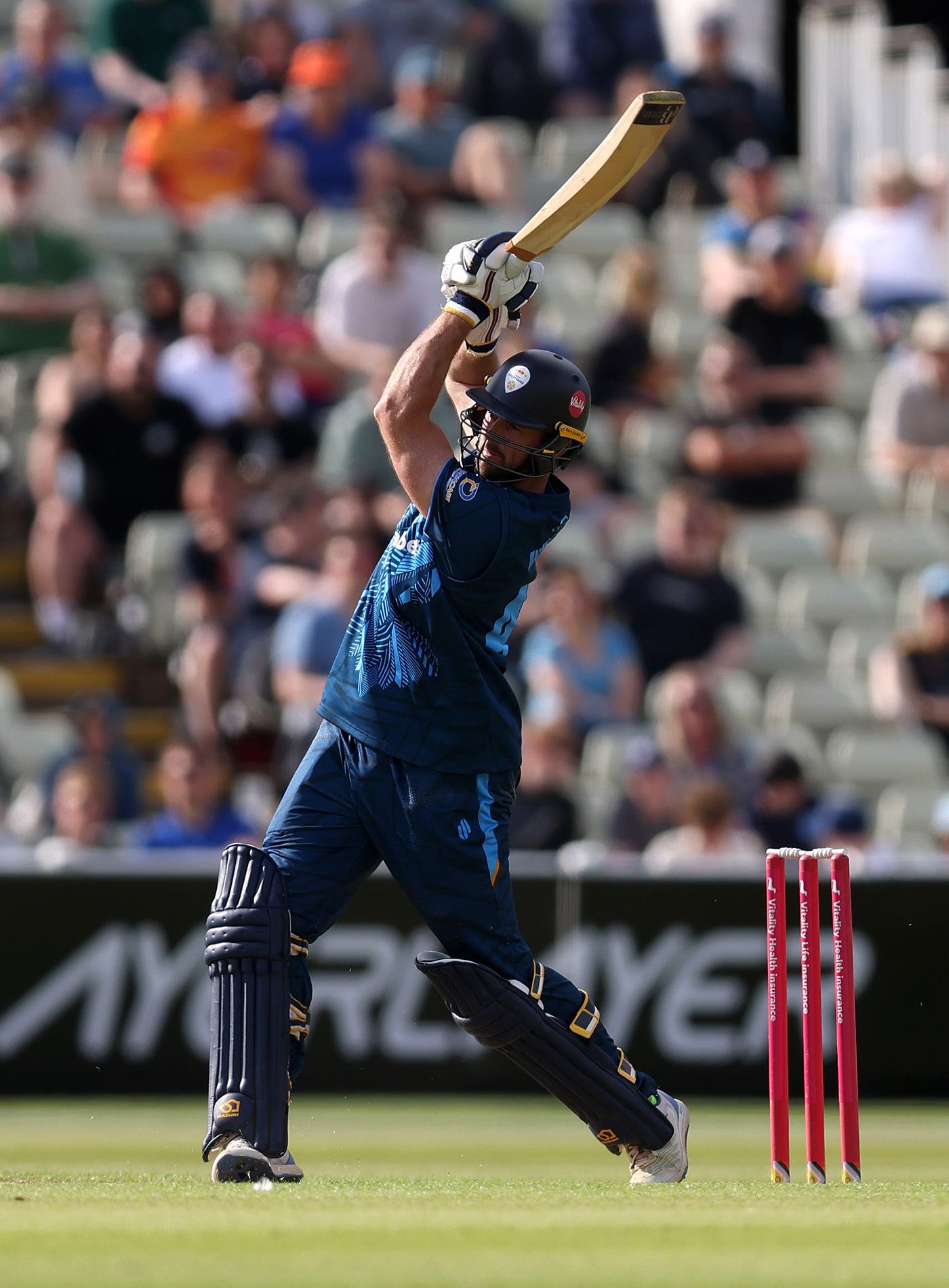 Whiteley fires Falcons in crushing win over rivals Notts