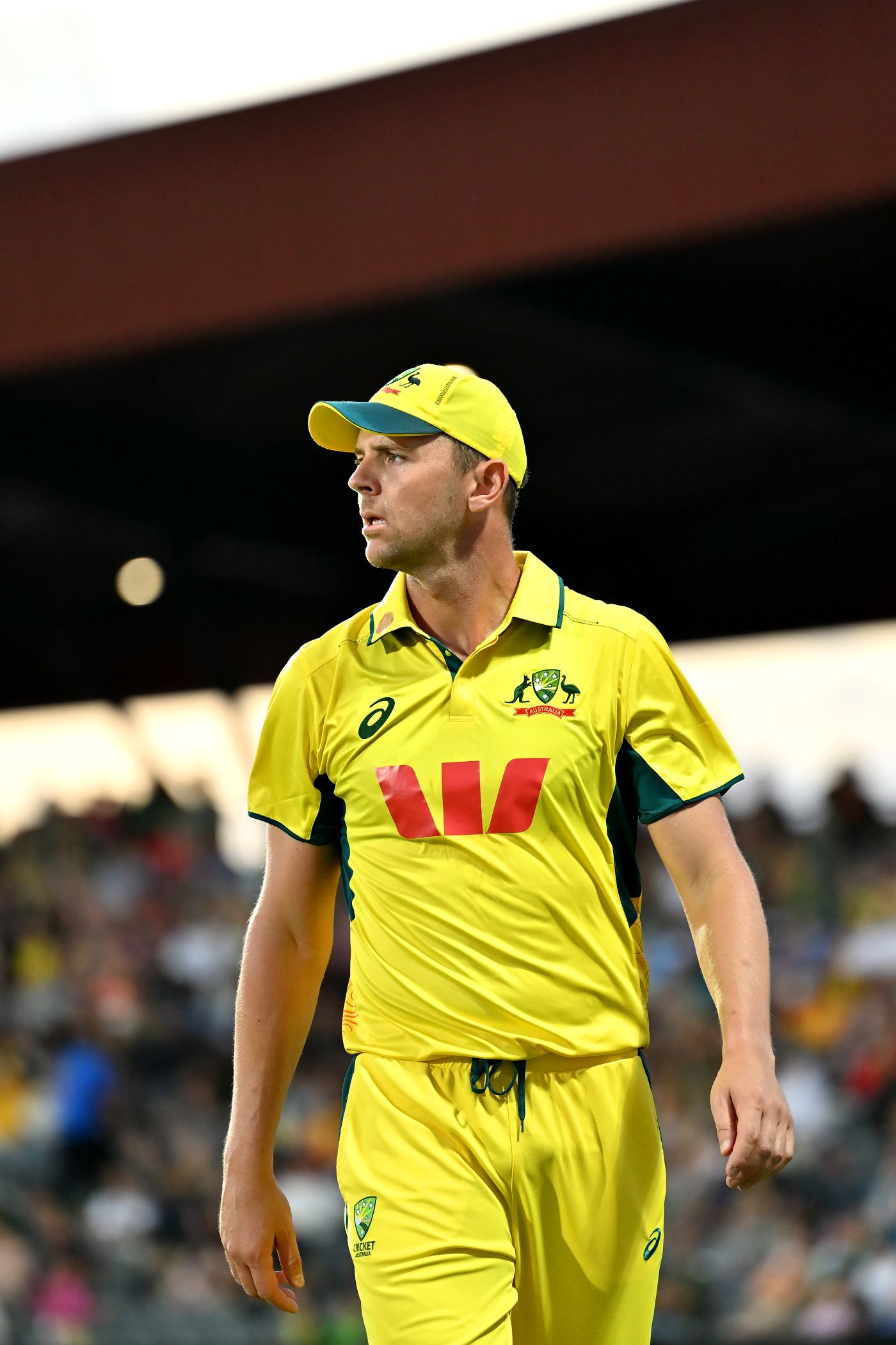 Hazlewood rested, Australia choose to bat first in dead rubber
