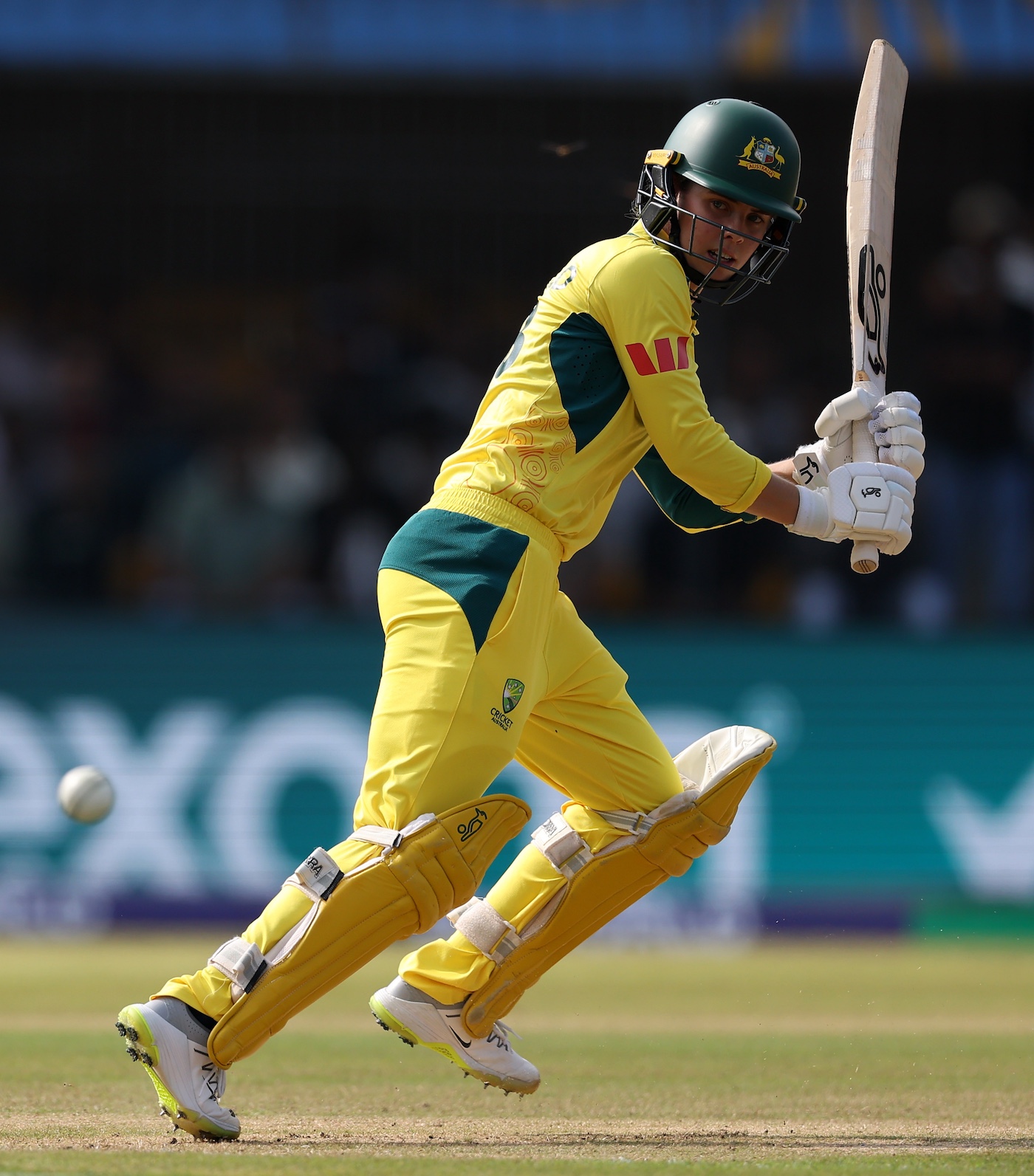 Litchfield: Life after Healy will be 'a massive change'