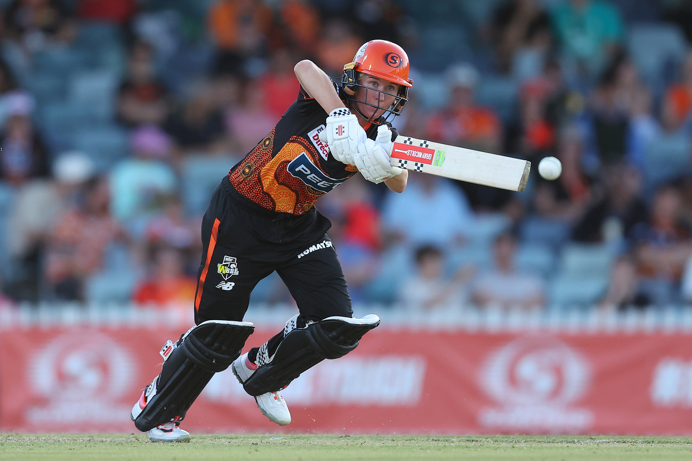Scorchers book final spot with Renegades defence over