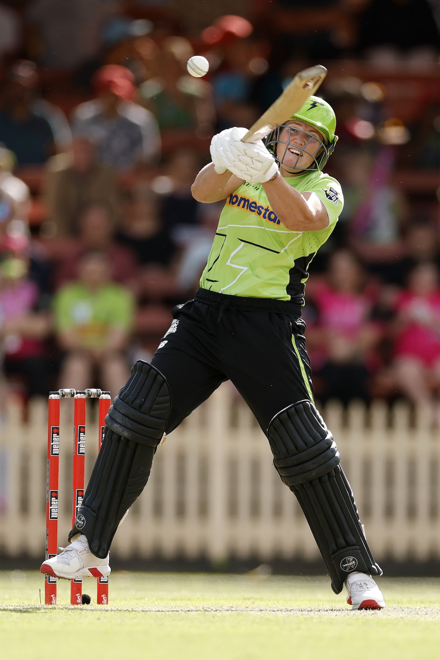 Laura Harris equals fastest fifty record in women's T20s