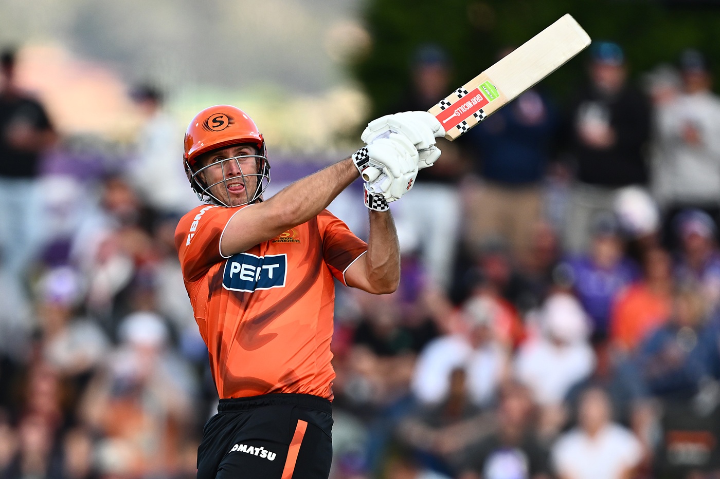 Marsh, Hardie help Scorchers end Hurricanes' winning streak at home