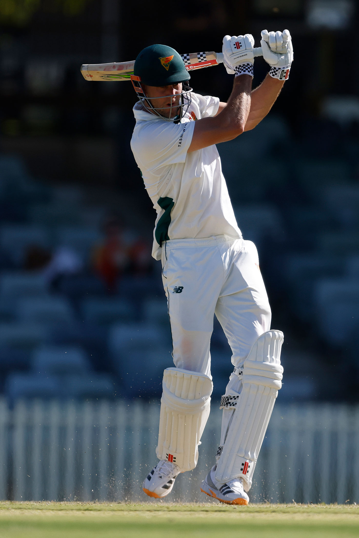 Richardson shines but Webster puts Tasmania in charge