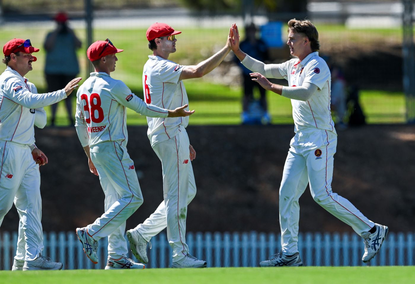 Head falls cheaply after Thornton bags career-best haul