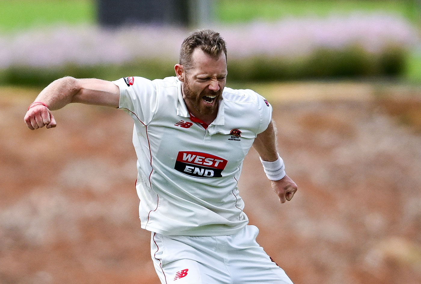 McAndrew, Head power South Australia towards Shield final