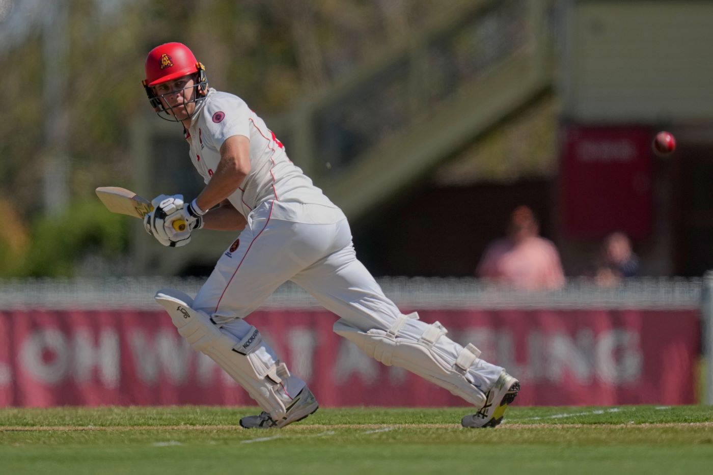 Hunt, Manenti half-centuries help South Australia's chase for the final
