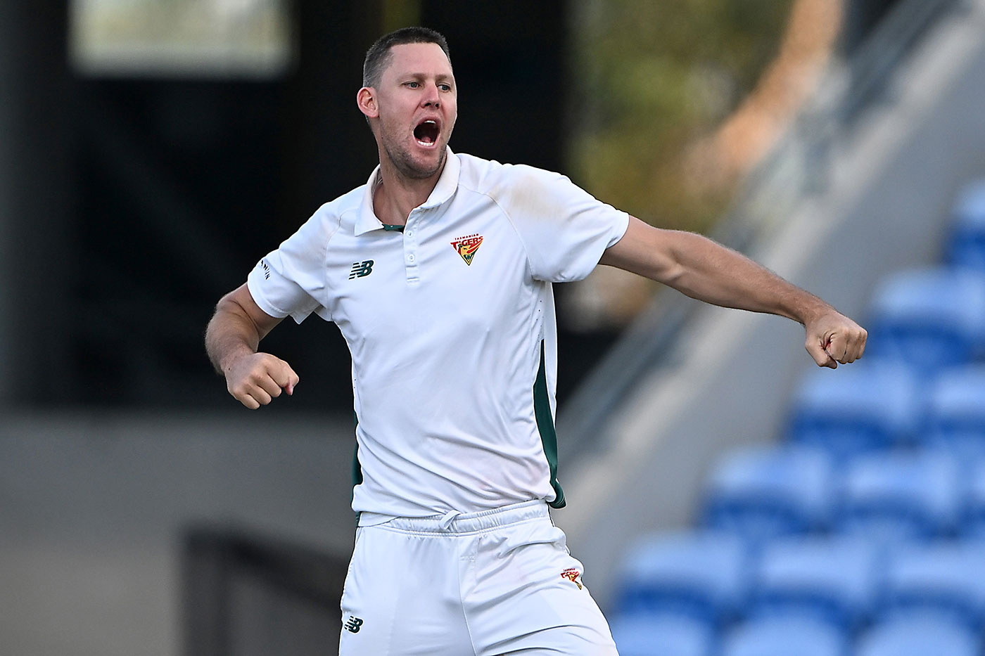 Webster's four helps Tasmania finish season strongly