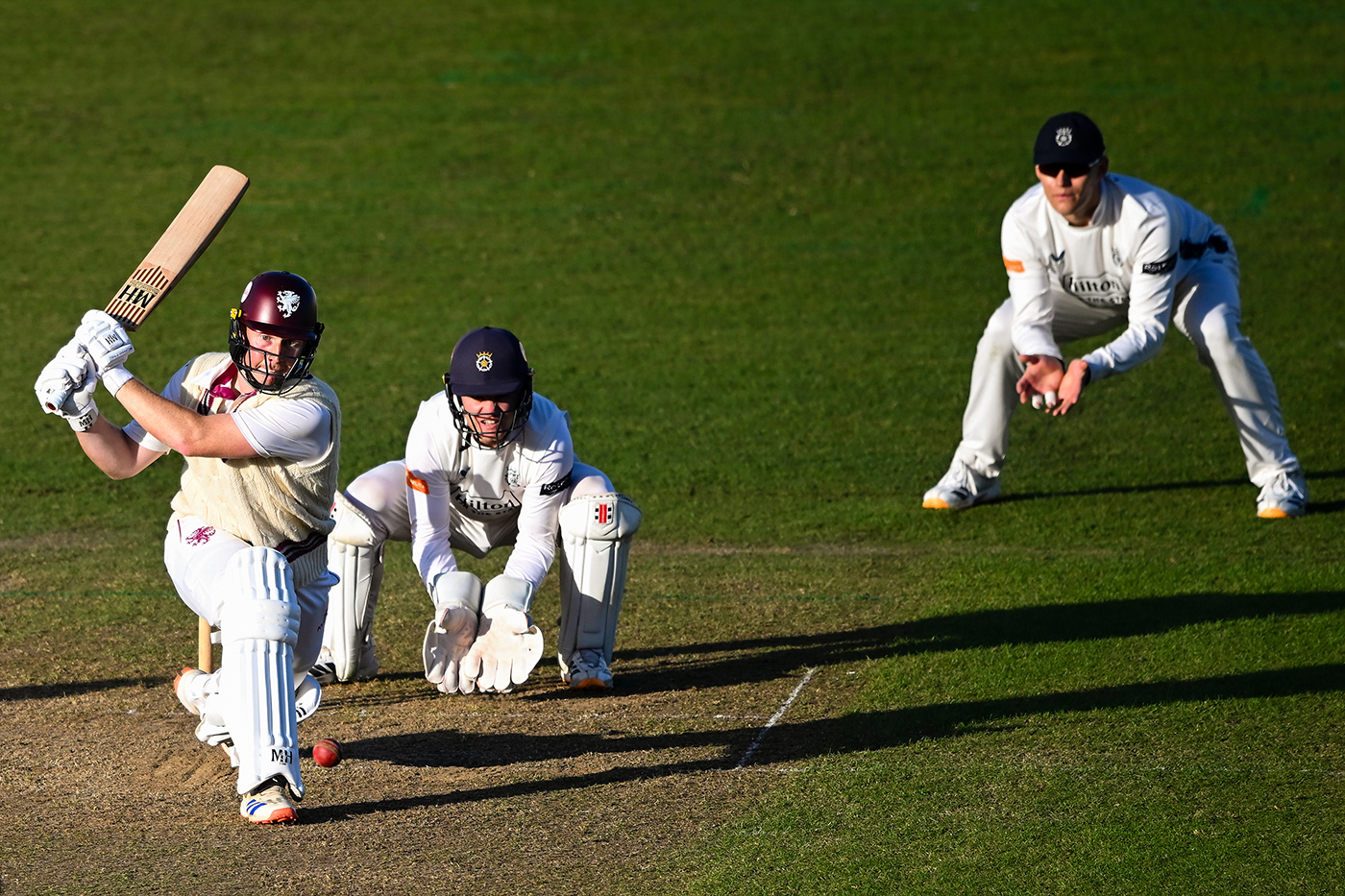 Another James Rew fifty puts Somerset on course to beat Hampshire