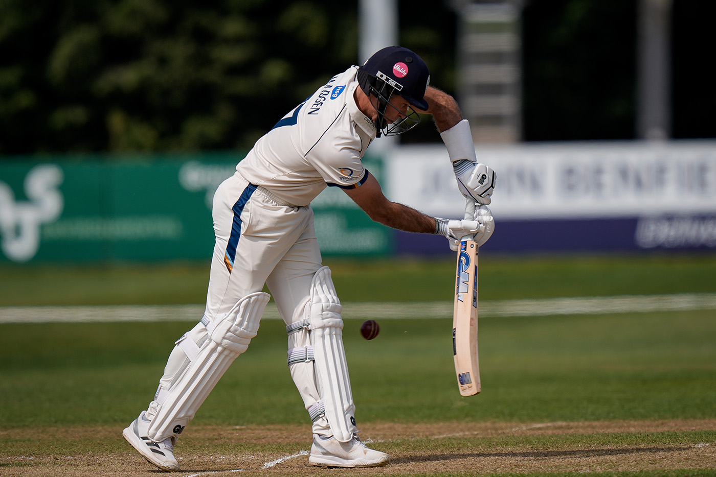 Bell, van Buuren brighten Gloucestershire's outlook in Derby