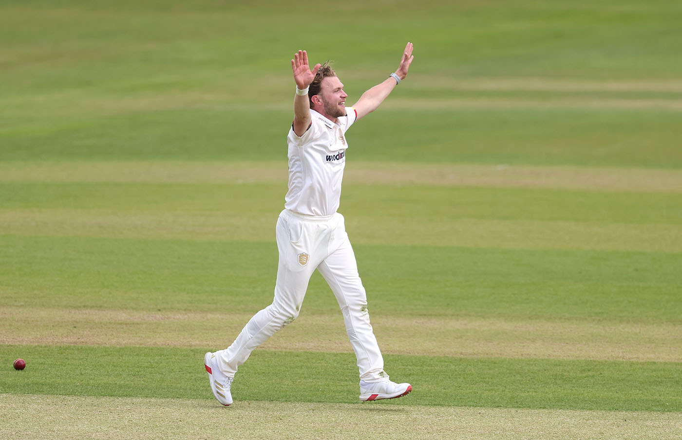 Sam Cook, Shane Snater lidera trabalho de demolição de Leicestershire