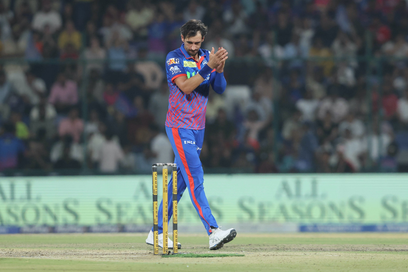 Badani on Starc: 'His work ethic, his preparation, his training are above par'