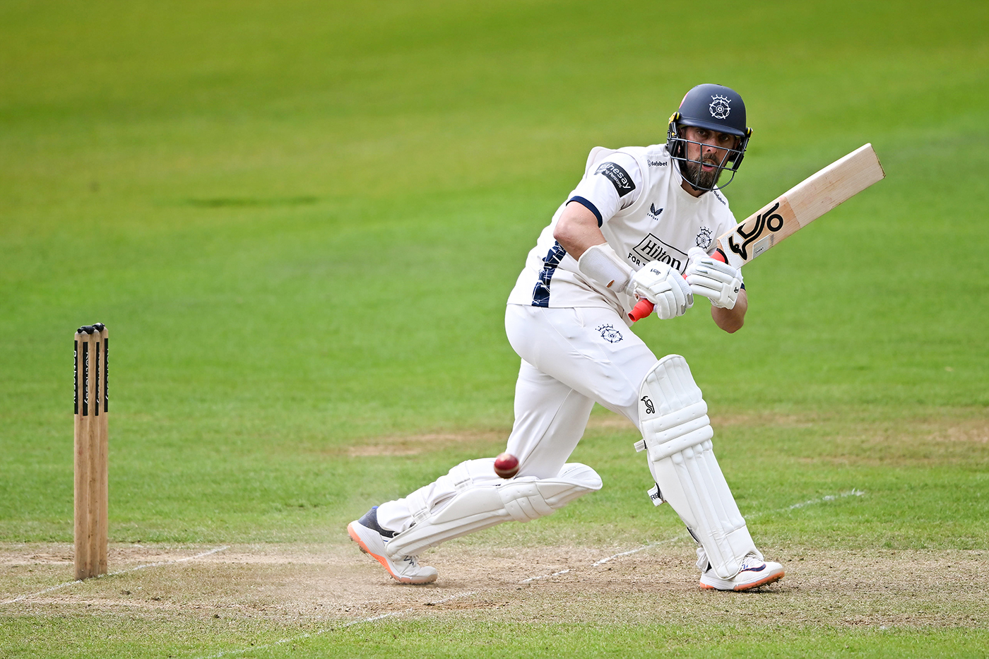 Jake Lehmann entalha a primeira tonelada de Hampshire para garantir um empate afectado pela chuva