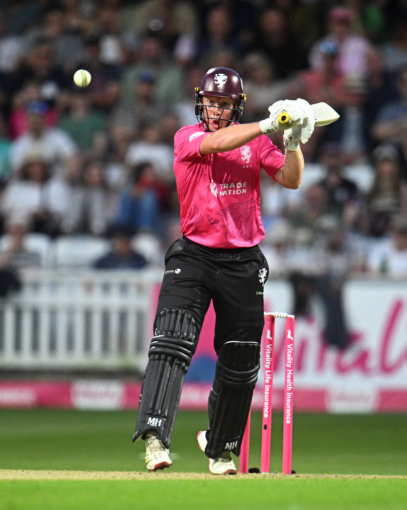 England hopeful James Rew stars in comfortable Somerset win