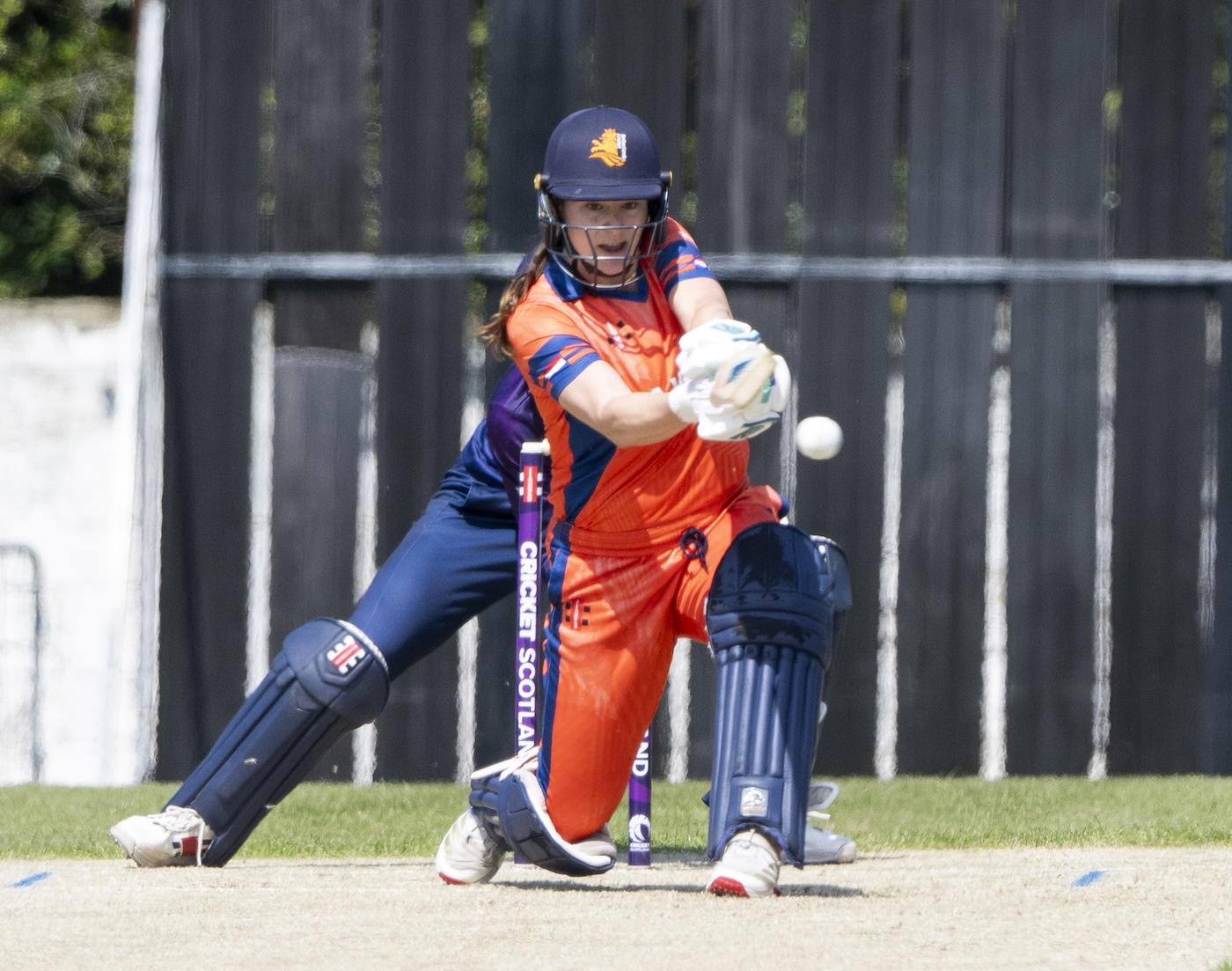 Siegers fifty and three-for helps Netherlands make history