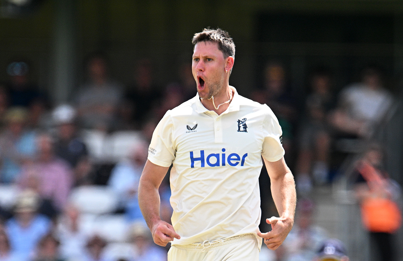 Beau Webster's four-wicket burst puts Warwickshire on top