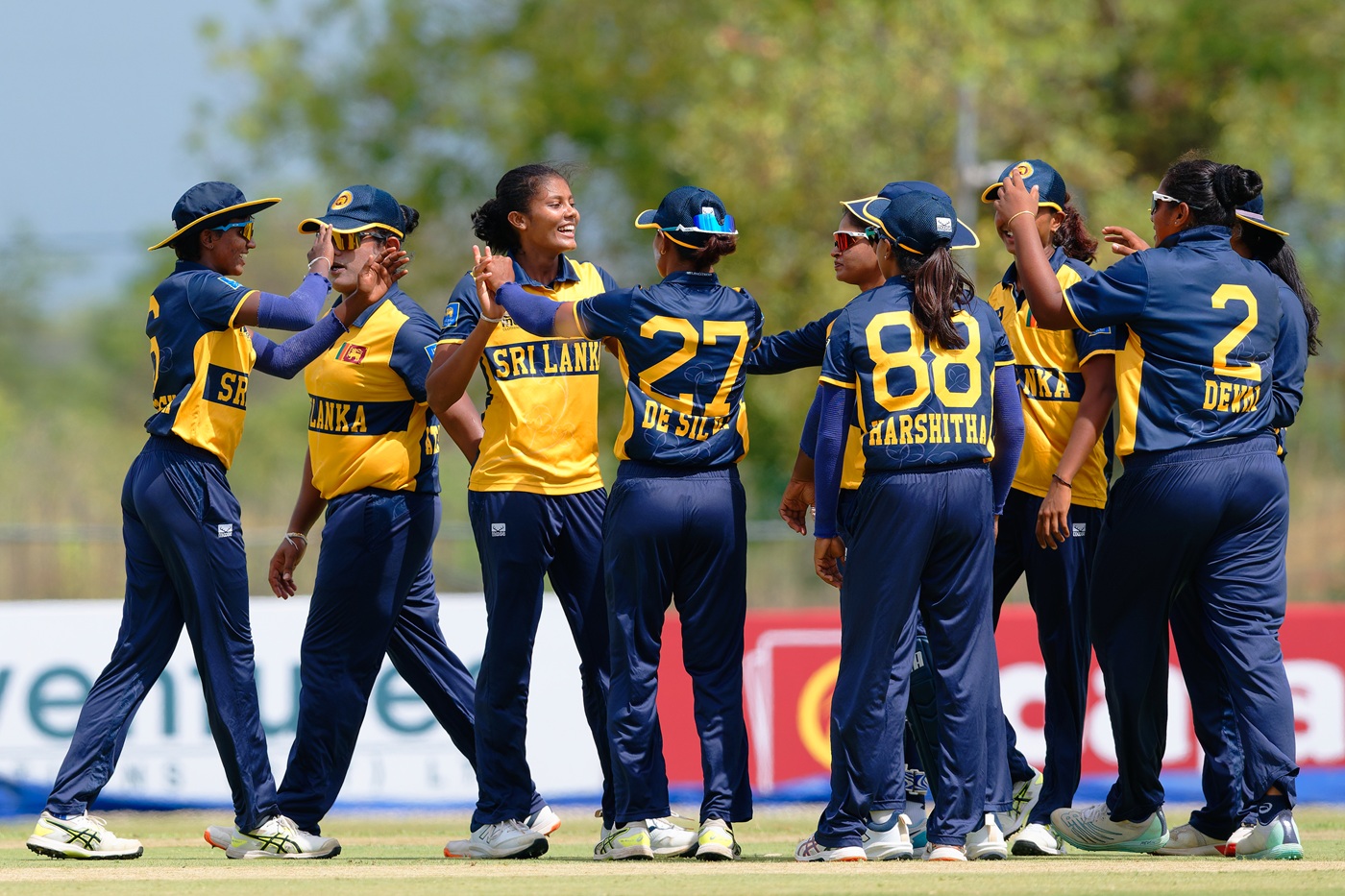 Draft of SLC constitution handed over to sports minister