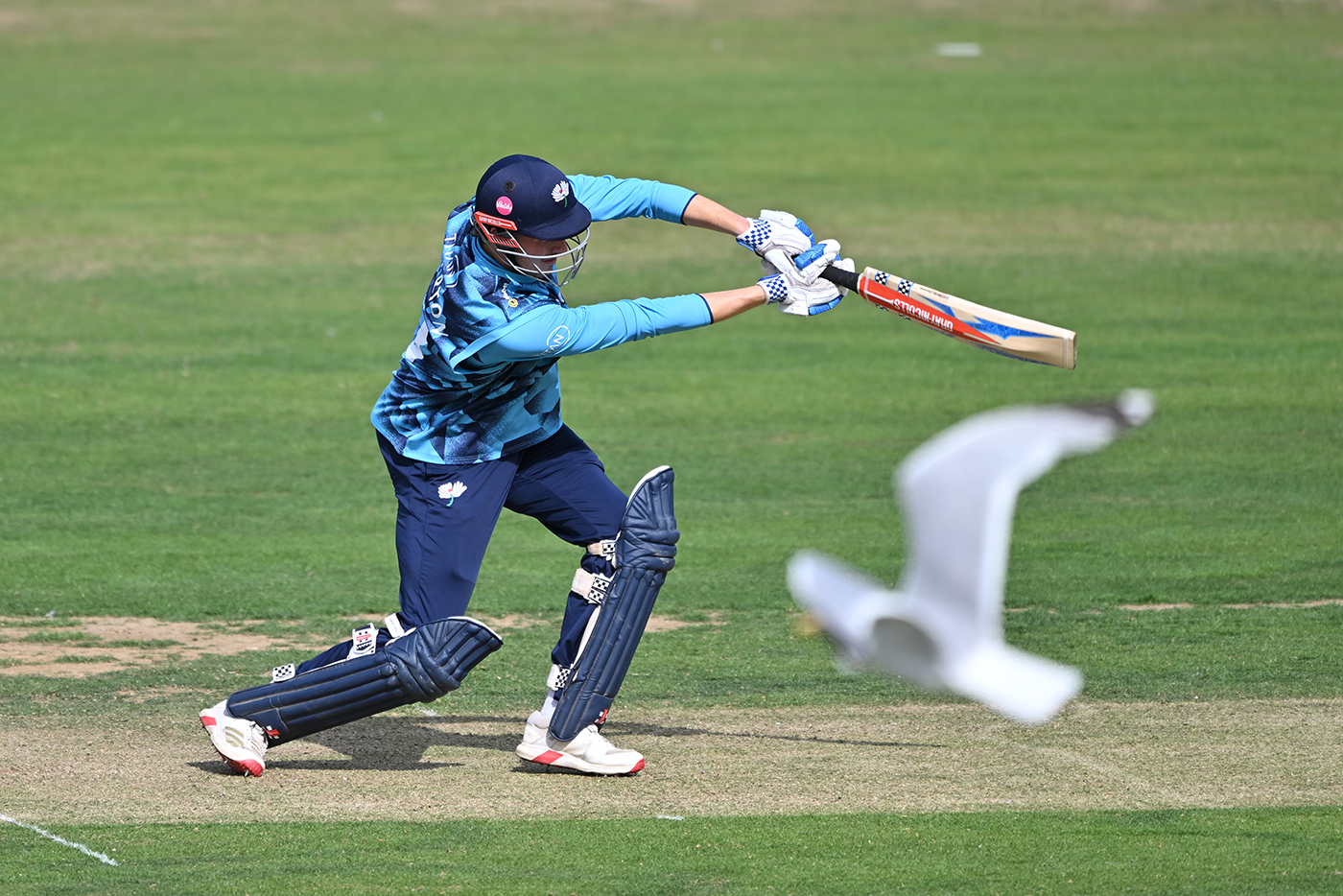 Sam Whiteman 94 puts Yorkshire on cusp of knockouts