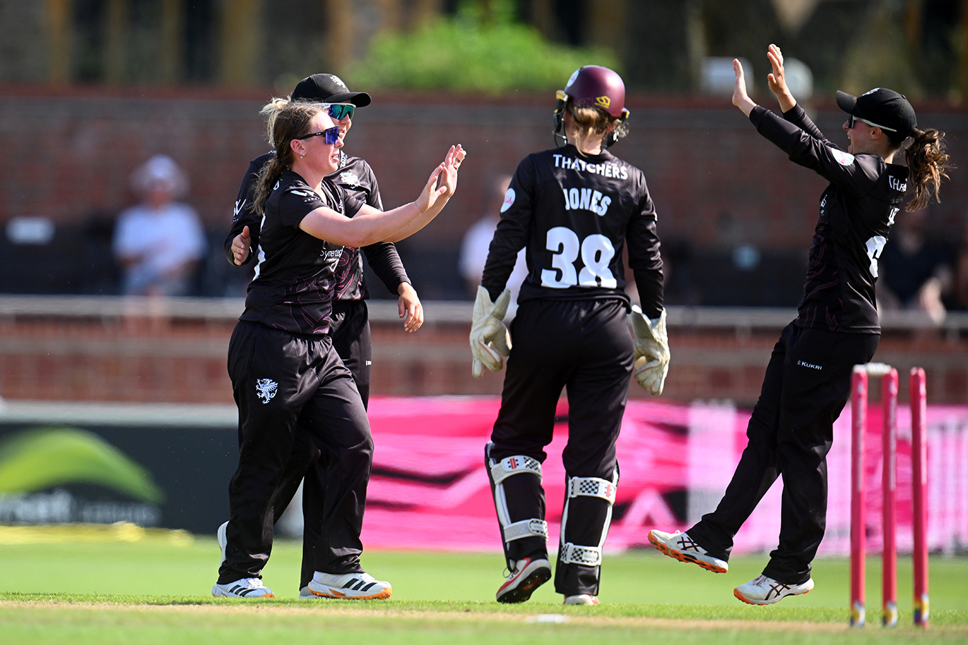 Somerset win from 21 for 5 after dramatic Yorkshire collapse