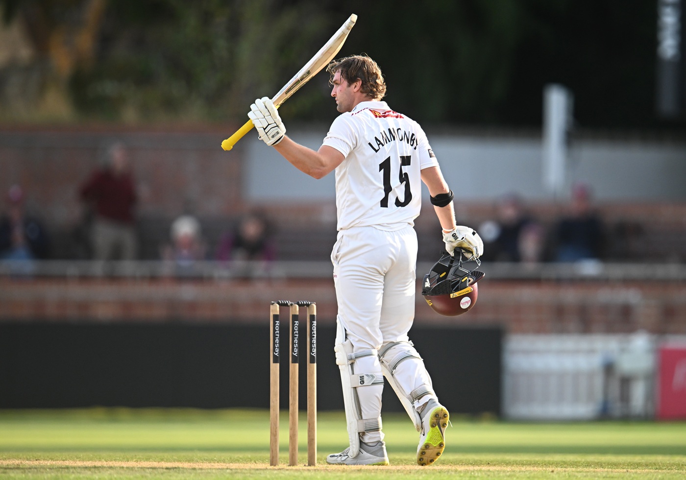 Tom Lammonby hundred steers Somerset response