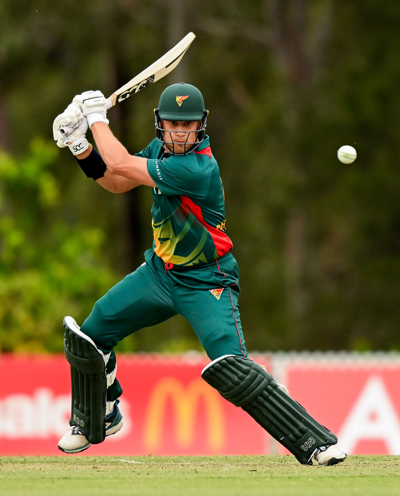 Prestwidge stars in unexpected role as Tasmania topple NSW