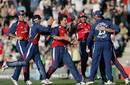 England celebrate with Jon Lewis after he removed Damien Martyn, England v Australia, Twenty20, The Rose Bowl, June 13